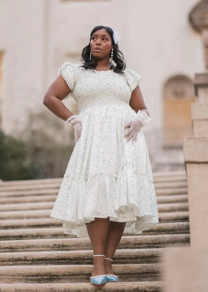 Swan Serenade Dress - JessaKae - Swan Serenade Dress - Feathered Sky / XXS