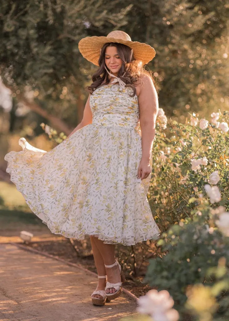 Sweet Bee Dress | Occasion Dress in Sizes XXS6X | JessaKae Sweet Bee Dress | Occasion Dress in Sizes XXS6X | JessaKae