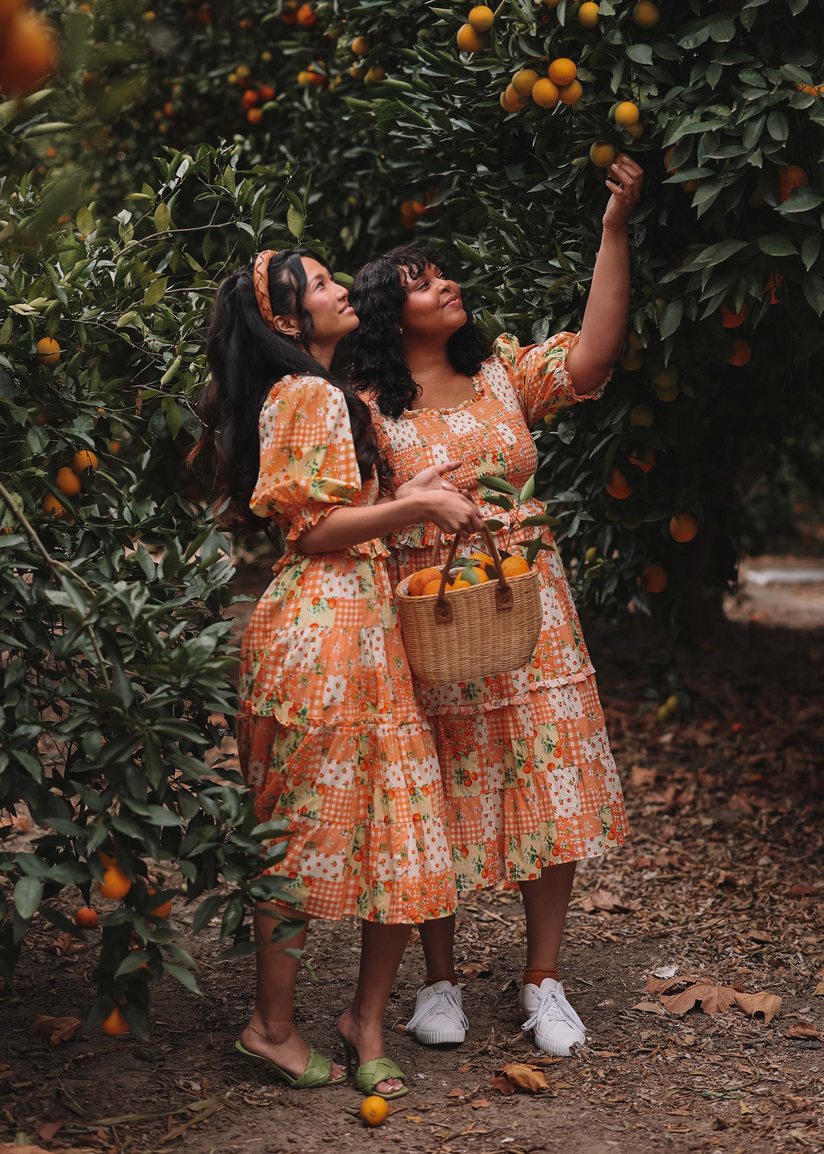 Orange Blossom Dress - Orange Patch