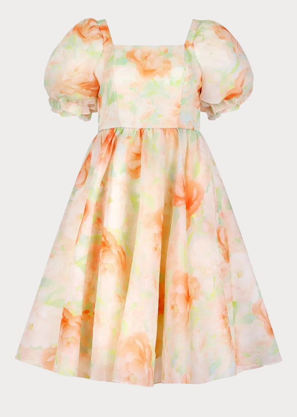 Poppy Dress Dresses - JessaKae - Poppy Dress - Marmalade / XXS